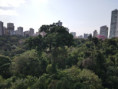 1ª Peroba Gigante - Maringá/PR